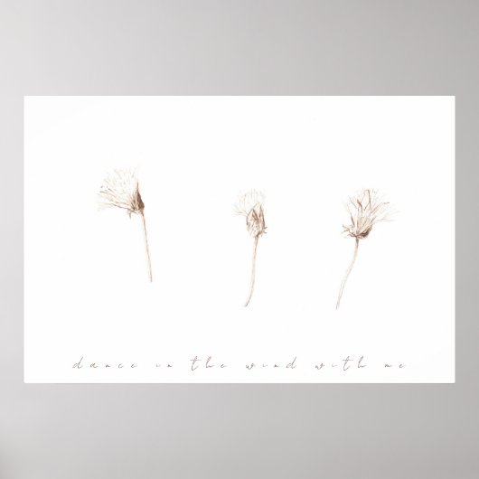 乾燥タンポポのインクスケッチ ポスター (正面)