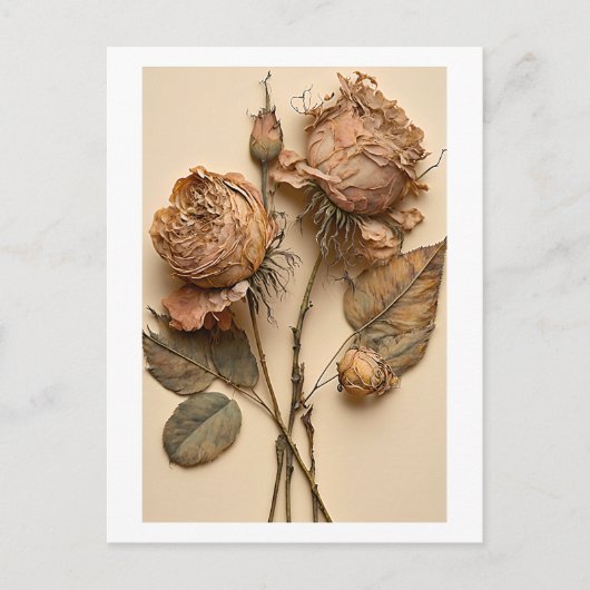 乾燥バラフローラはがきプリント シーズンポストカード (正面)