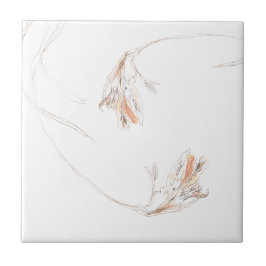 乾燥フリーシアス1 タイル