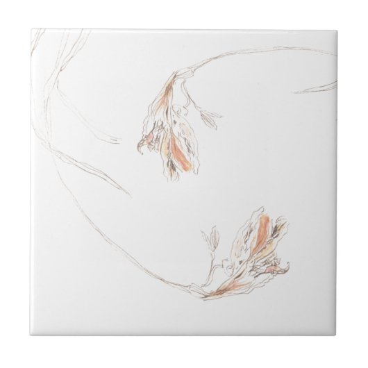 乾燥フリーシアス1 タイル (正面)