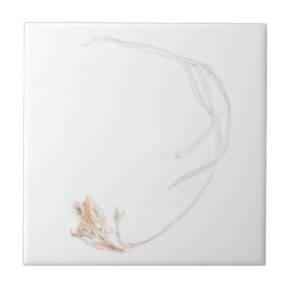 乾燥フリーシア1 タイル