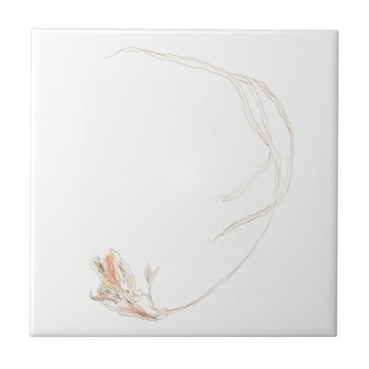 乾燥フリーシア1 タイル (正面)