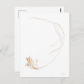 乾燥フリーシア1 ポストカード (正面/裏面)