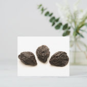 乾燥プラム ポストカード (スタンド正面)