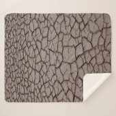 乾燥土 シェルパブランケット (正面(横))