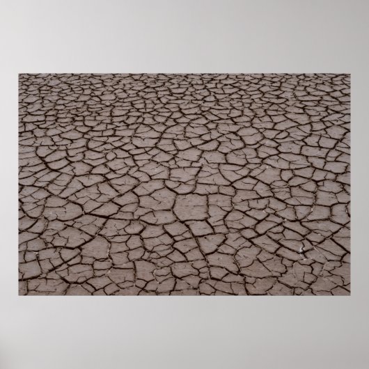 乾燥土 ポスター (正面)