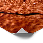 乾燥地 ポスター (角)