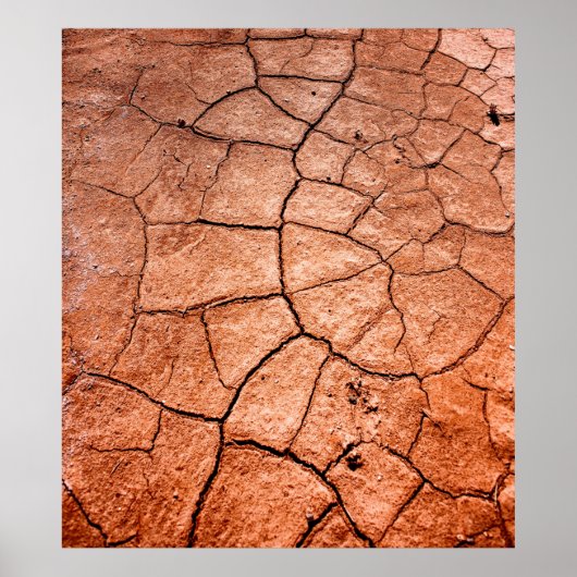 乾燥地 ポスター (正面)