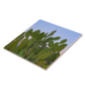 乾燥林のサボテンとササル タイル (側面)