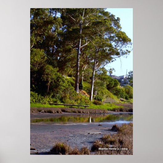 乾燥湖 ポスター (正面)