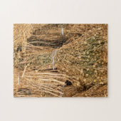 乾燥熱 ジグソーパズル (横)