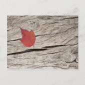 乾燥紅葉と花テーブル番号 ポストカード (裏面)