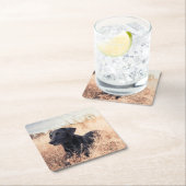 乾草の黒ラブラドール スクエアペーパーコースター (インサイチュ)