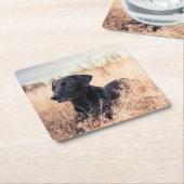 乾草の黒ラブラドール スクエアペーパーコースター (アングル)