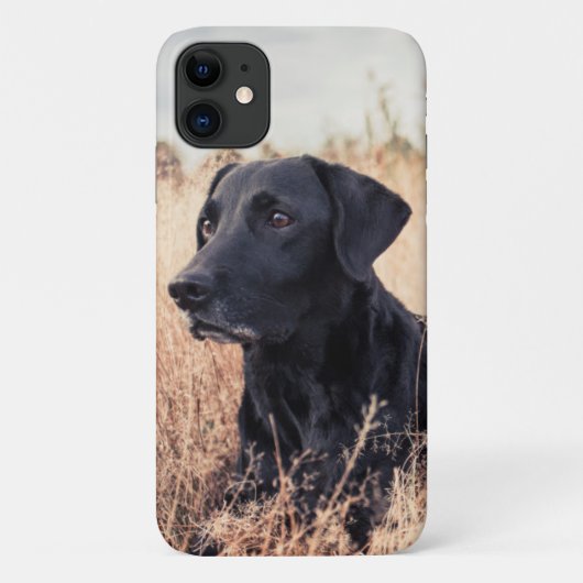 乾草の黒ラブラドール Case-Mate iPhoneケース (裏面)