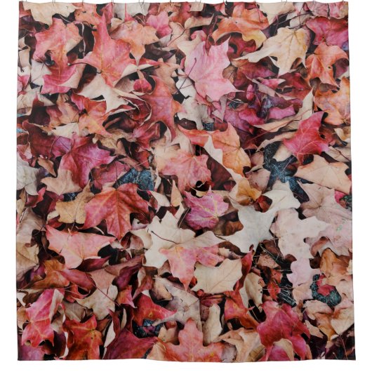 乾葉 シャワーカーテン (正面)