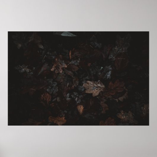 乾葉 ポスター (正面)