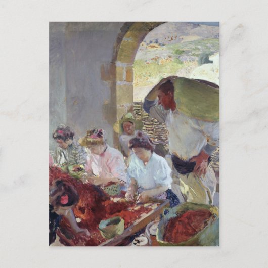 乾葡萄の準備， 1890 ポストカード (正面)