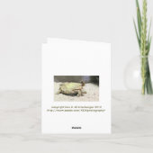 「亀が背中を向けた」よくカードを取る カード (裏面)