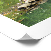 亀が自分でポスターを飾る ポスター (角)