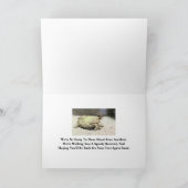 亀が転倒し、事故を謝る カード (内部)