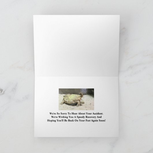 亀が転倒し、事故を謝る カード (内部)