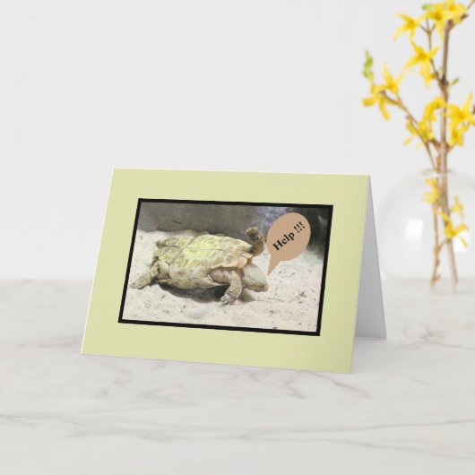 亀が転倒し、事故を謝る カード (黄色い花)