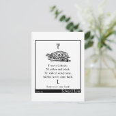 亀だった ポストカード (スタンド正面)