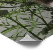 亀と白猫 ポスター (角)