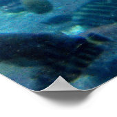 亀と魚 ポスター (角)