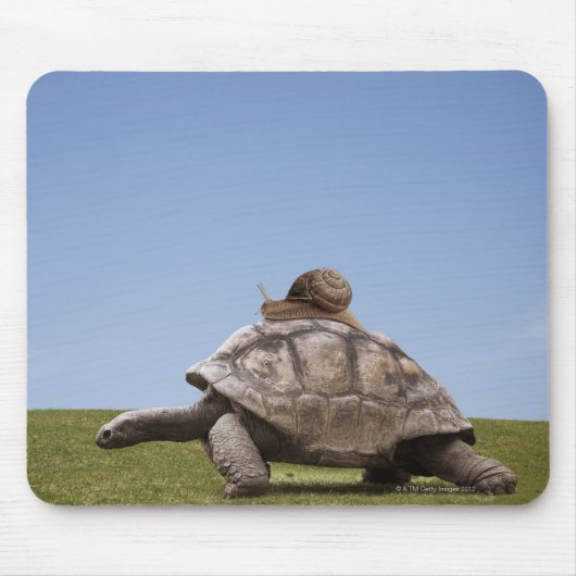 亀にカタツムリつく マウスパッド (正面)