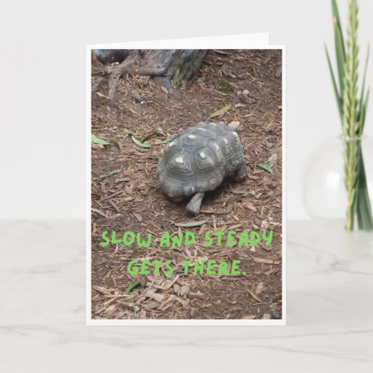 亀のおもしろい ノートカード (正面)
