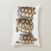 亀のまくら アクセントクッション (正面(垂直))