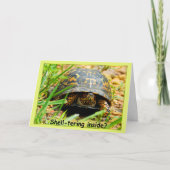 亀のカード内のシェルター カード (正面)