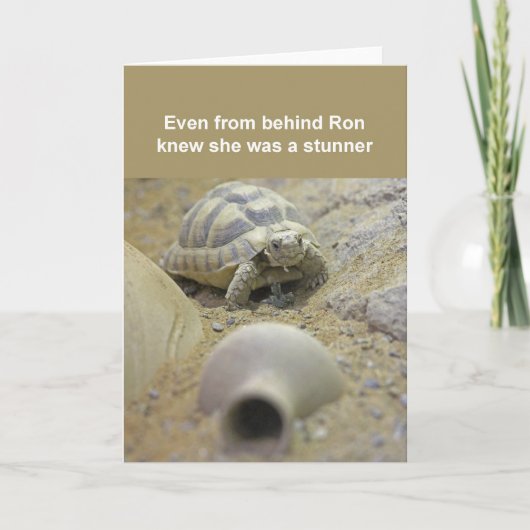 亀のカード カード (正面)