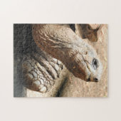 亀のパズル ジグソーパズル (横)