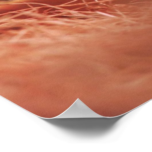 亀のポスター ポスター (角)