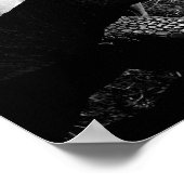 亀の写真（白黒） ポスター (角)