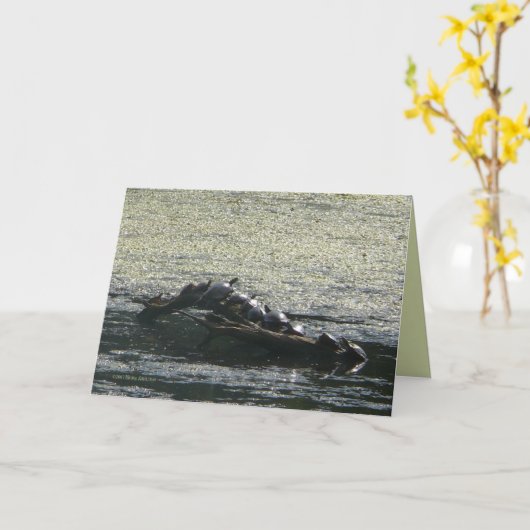 亀の回り カード (黄色い花)