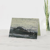 亀の回り カード (正面)