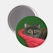 亀の地獄のクリスマス マグネット (正面/裏面)