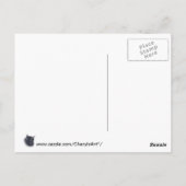 亀の子猫顔葉書 ポストカード (裏面)