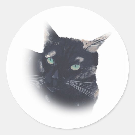 亀の子猫顔 ラウンドシール (正面)
