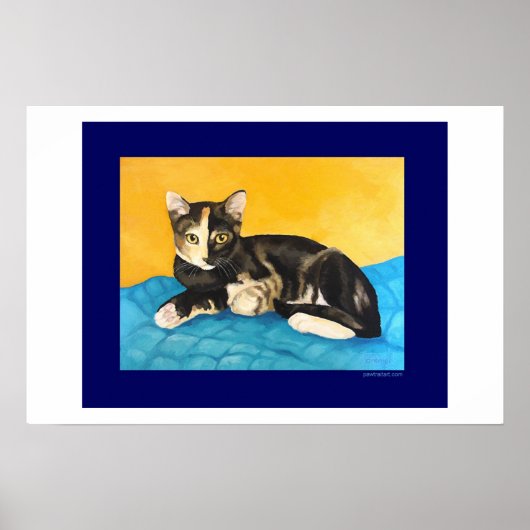 亀の子猫 ポスター (正面)