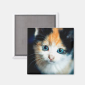 亀の子猫 マグネット (正面/裏面)