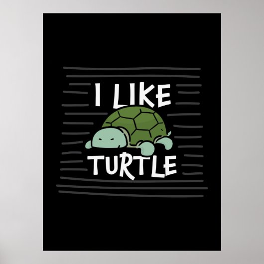 亀の恋人 | I Like Turtle ポスター (正面)