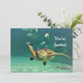 亀の海水魚写真誕生日 招待状 (スタンド正面)
