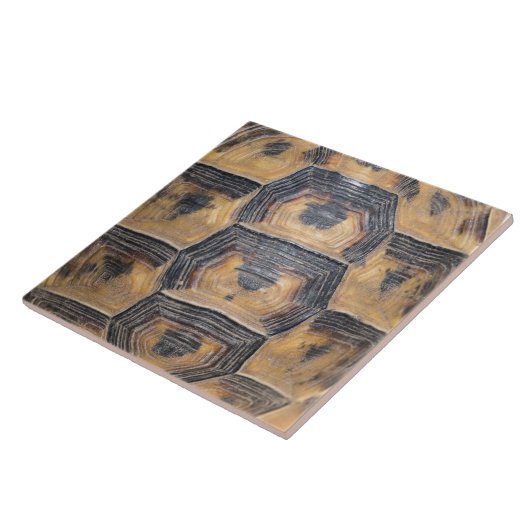 亀の甲羅模様 タイル (側面)