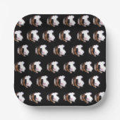 亀の甲（こう）めでたいモルモットの型だ。 ペーパープレート (正面)