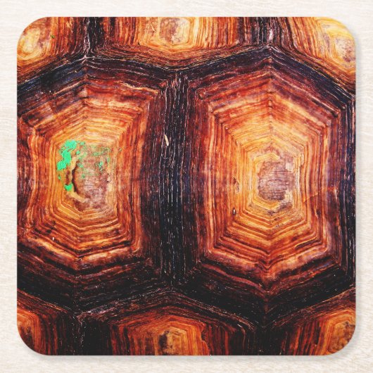 亀の甲 スクエアペーパーコースター (正面)